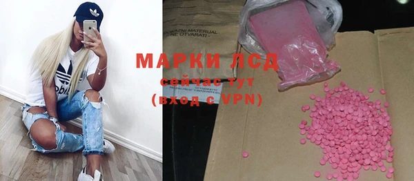 спайс Баксан