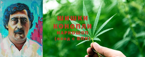 спайс Баксан