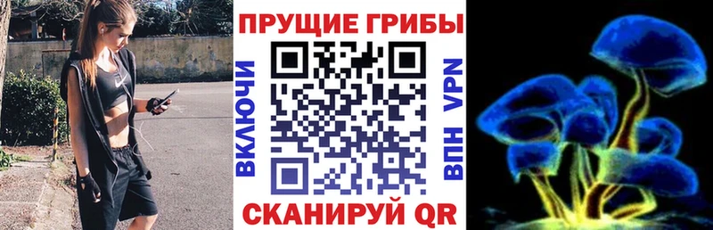 Галлюциногенные грибы мицелий  blacksprut ссылки  Энем 